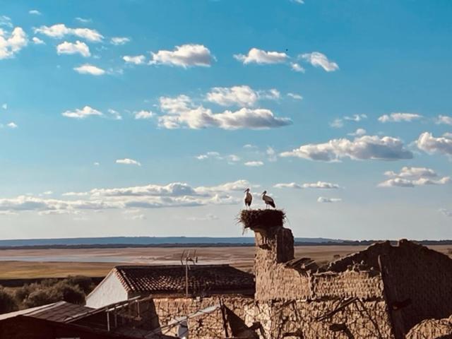Casa Rural La Cruz Эль-Гордо Экстерьер фото
